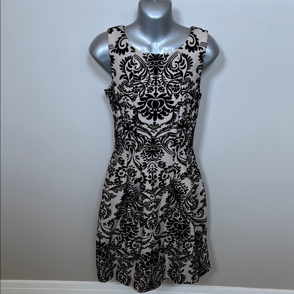 Gabby Skye A-line Black and Cream Cocktail Dress Velvet Flair